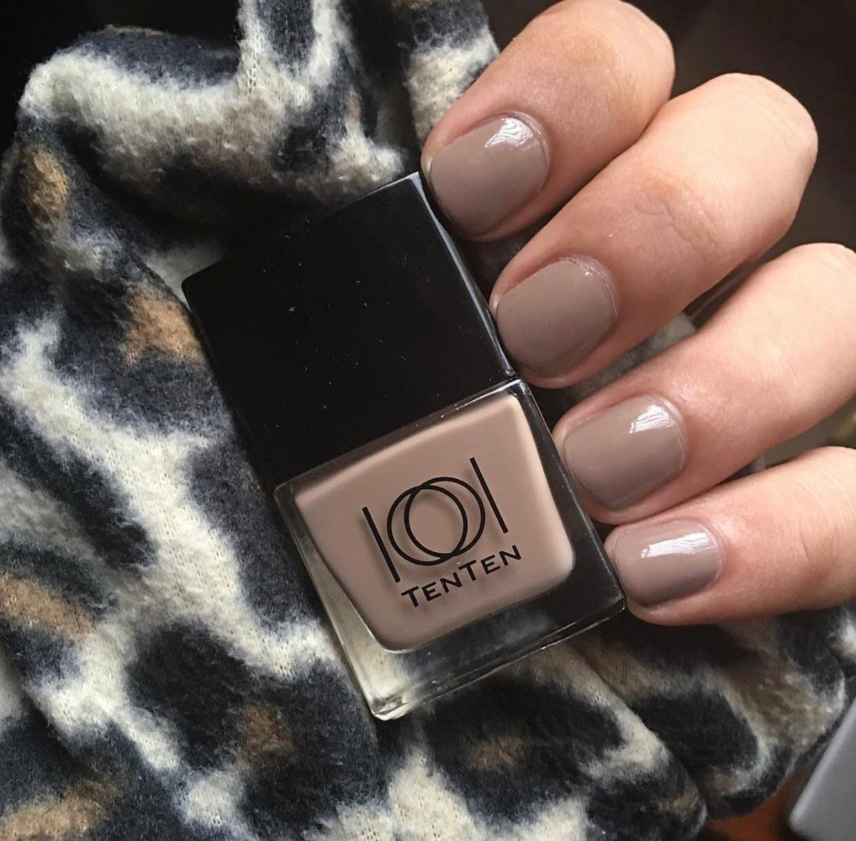 Ten Ten Nail Color: Mocha Brown NP-S19 - nail polish colors – Ten